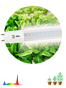 Лампа (LED) для растен. (рассада) T8  600мм G13  9Вт 16,2 мкмоль/с 440...660нм 4000К 230В FITO ЭРА
